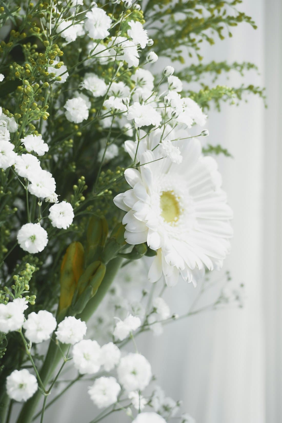 Fleurs blanches d hommage